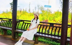 美女翘臀强进入系列在线观看